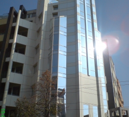 DSC02181 - Copy.JPG